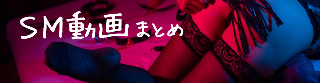 SM動画まとめ
